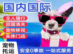 锡林浩特航空快运国际宠物托运 【国